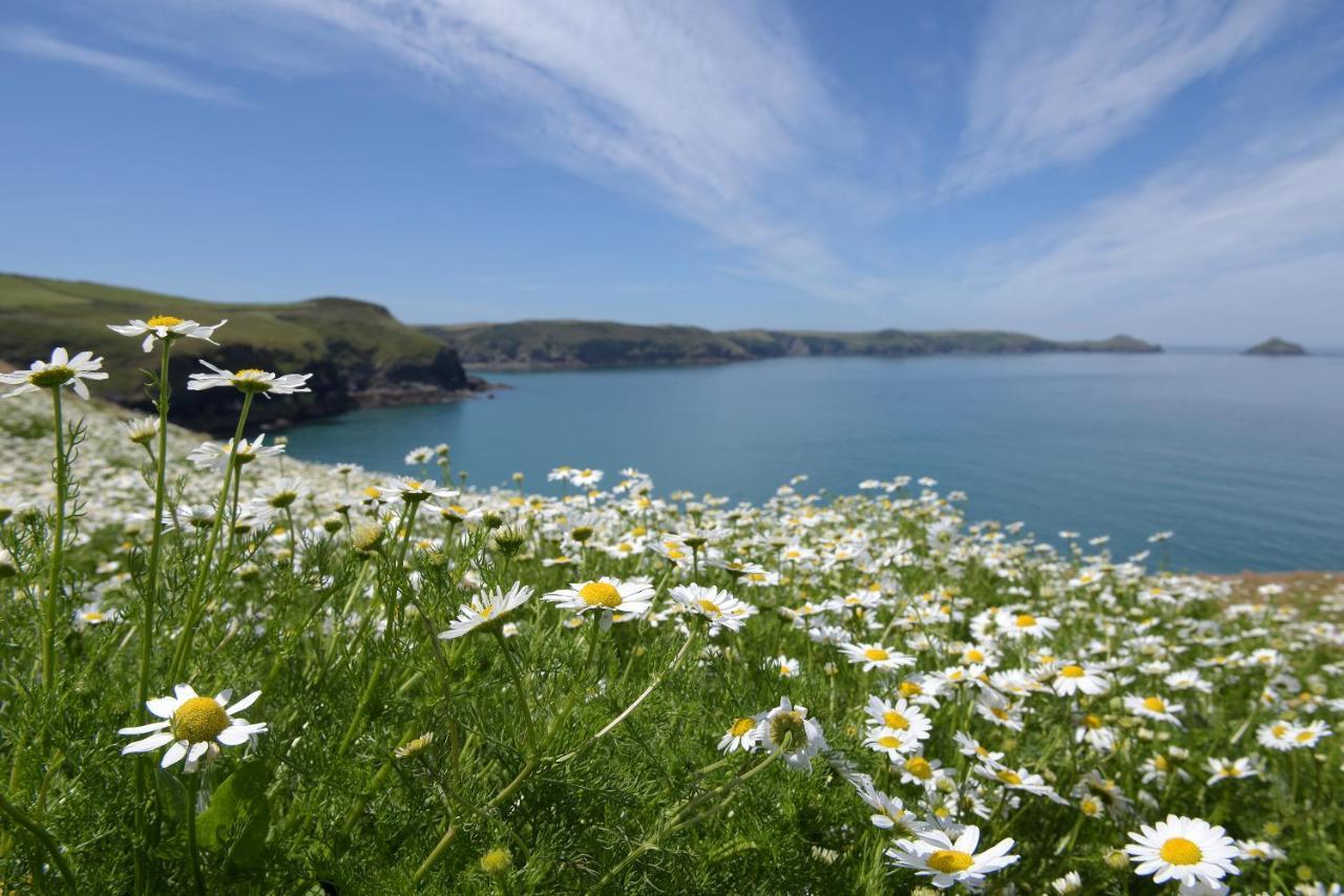 Tranquil Cornish Retreat Close To Port Isaac Beaches And Moor Bodmin Esterno foto