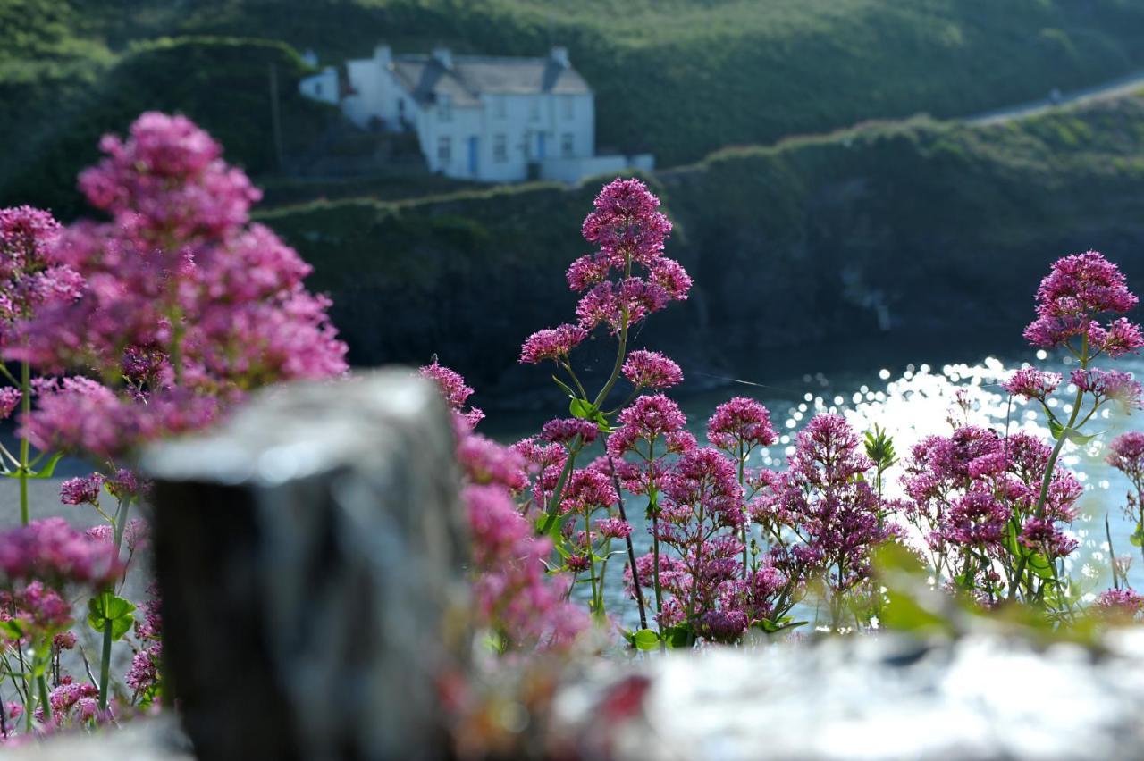 Tranquil Cornish Retreat Close To Port Isaac Beaches And Moor Bodmin Esterno foto